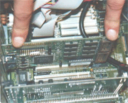 grafiein.gif