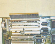 ramspl.gif